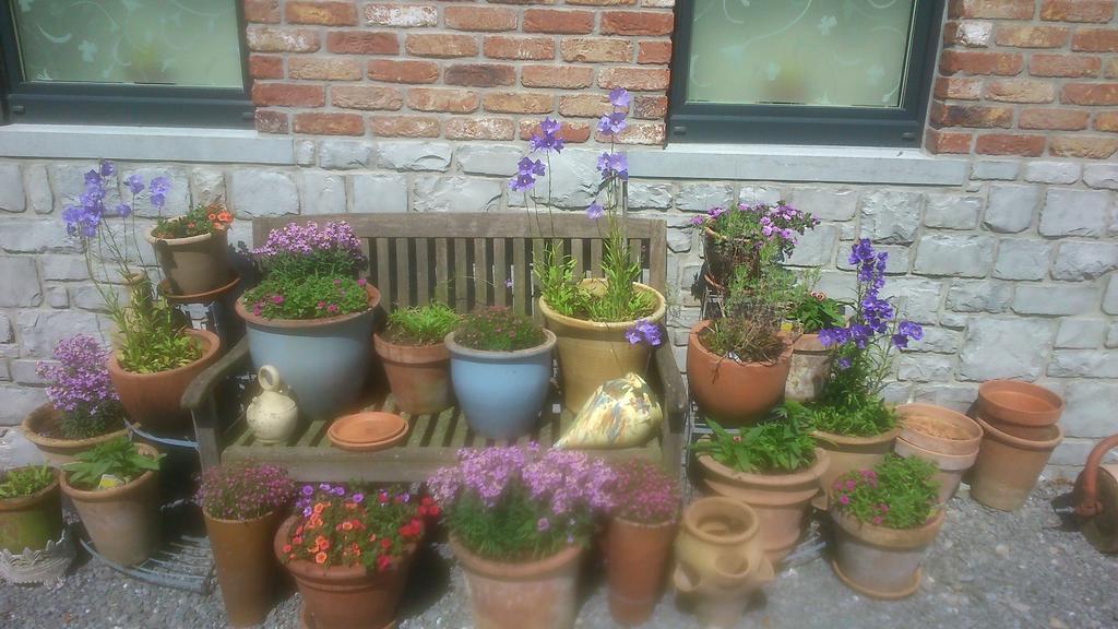 B&B Au Coeur De Villers Екстериор снимка