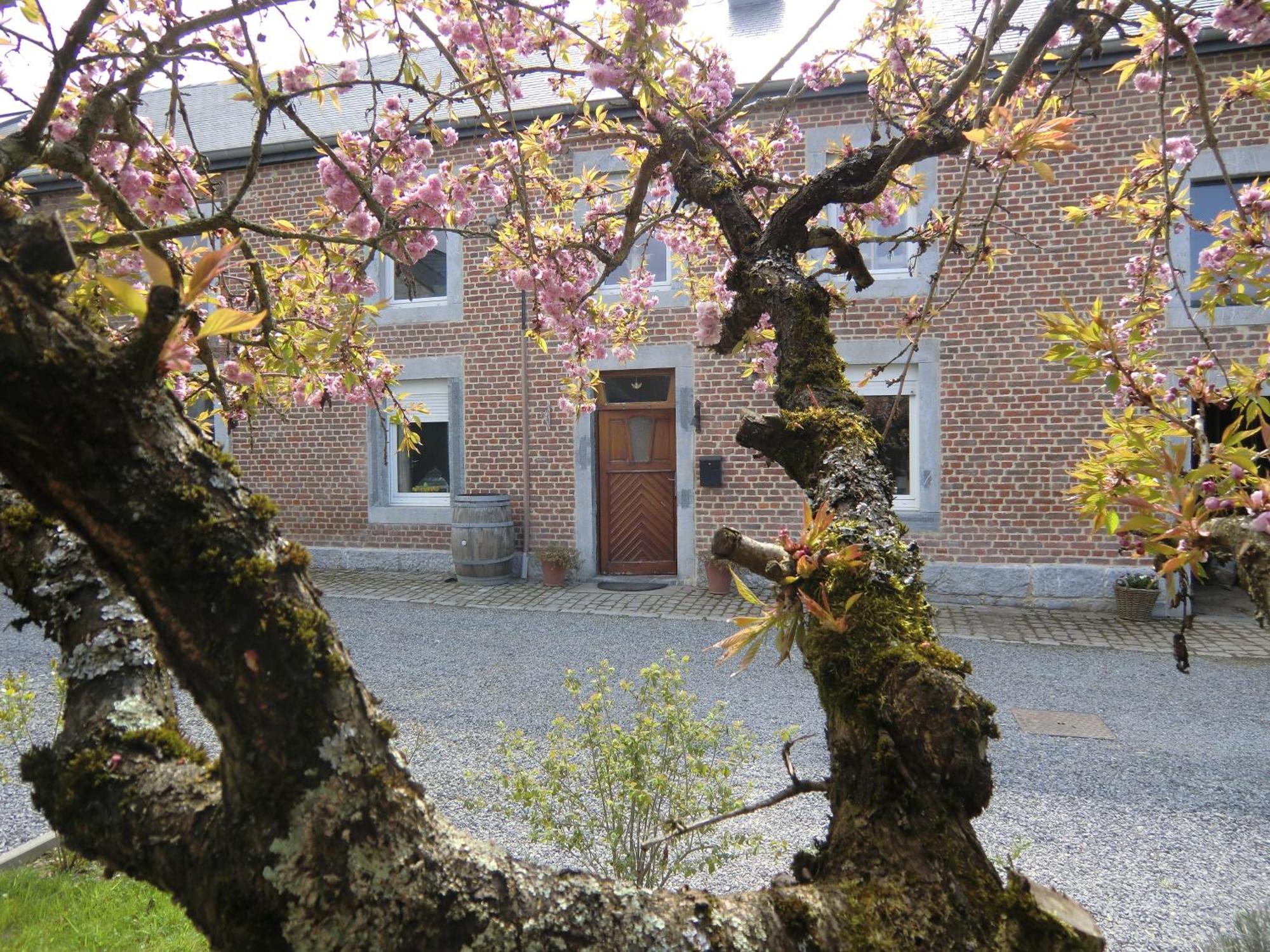 B&B Au Coeur De Villers Екстериор снимка